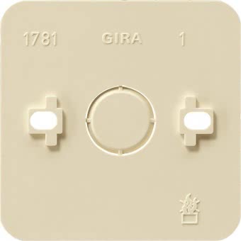 GIRA Montageplatte 1fach AP       008113 