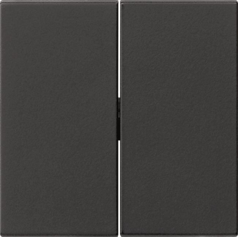 GIRA 0915005 Wippe 2fach Tastschalter 