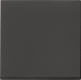 GIRA 0916005 Wippe Tastschalter 