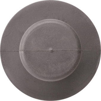 GIRA 853800 Saugheber Frontscheibe Video 