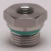 IFM Adapter G 0,25 -G 0,5         E30135 
