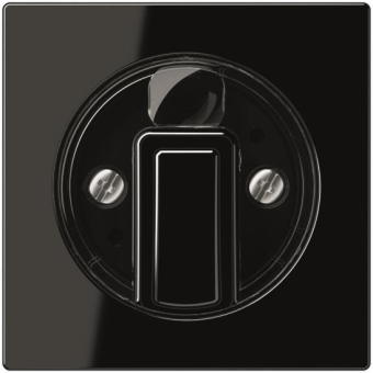 Jung Abdeckung f.Drehschalter  A1541BFSW 