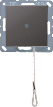 Jung Zug-Wechselschalter    A506BFNUZANM 