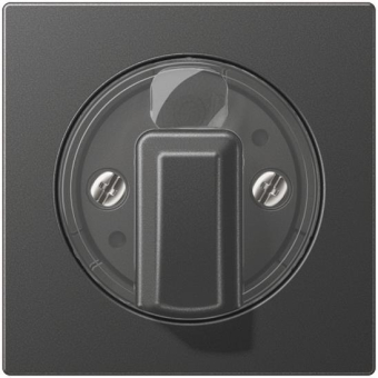 Jung Abdeckung f.Drehschalter A1541BFANM 