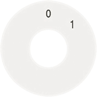 Jung Ersatz-Skalenscheibe   SKS1101-20WW 