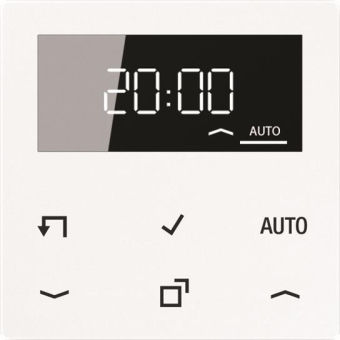 Jung Timer Standard m.Display   A1750DWW 
