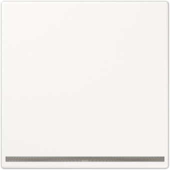 Jung                      LS1539-OOWWLNW 