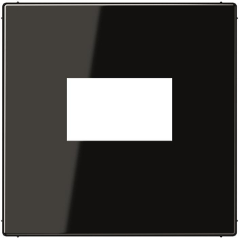 Jung Abdeckung               LS1969USBSW 