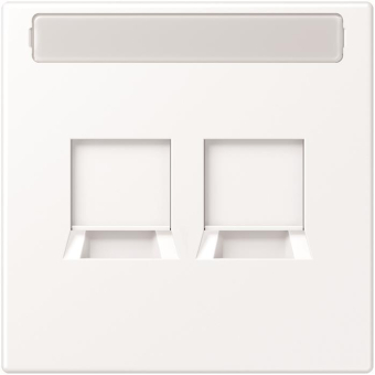 Jung Abdeckung f.MJ 2f   LS1969-2NAWEWWM 