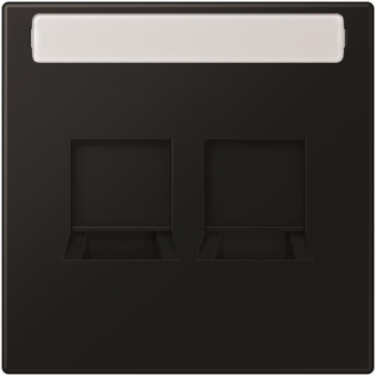 Jung Abdeckung f.MJ 2f   LS1969-2NAWESWM 