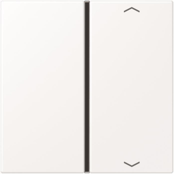 Jung Taste 1f            LS 401 TSAP WWM 