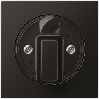 Jung Abdeckung             A 1541 BF SWM 