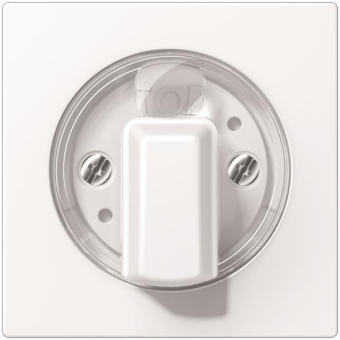 Jung Abdeckung             A 1541 BF WWM 