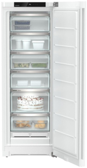 Liebherr FNd 5026-22 ws Gefrierschrank 