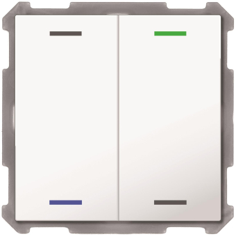 MDT Taster Light 63 2-fach RGBW mit 