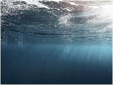 Miele WWV 980 WPS Waschautomat 