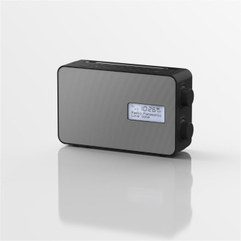 Panasonic RF-D30BTEG-K sw Digitalradio 
