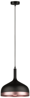 Paulmann Pendelleuchte max.1x20W   79629 