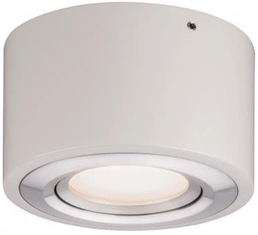 Paulmann WD Argun dim LED 1x4,8W   79708 