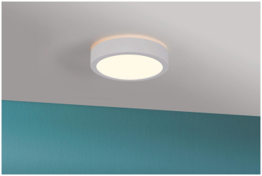 Paulmann WallCeiling HomeSpa Aviar 78923 