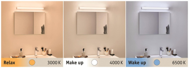 Paulmann WallCeiling HomeSpa Luno  78949 