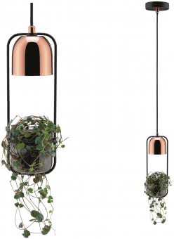 Paulmann Pendelleuchte Fanja       79749 