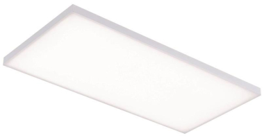 Paulmann WallCeiling Velora LED    79819 