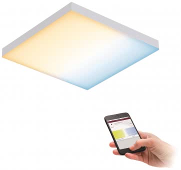 Paulmann WallCeilingVelora LED     79824 