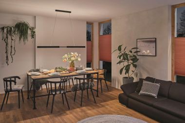 PAULM Pendelleuchte Aptare Schwarz 79888 