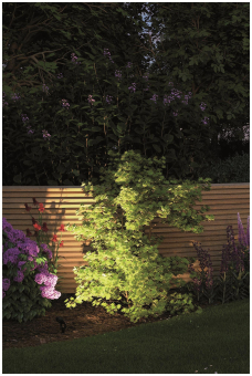 Paulmann Outdoor Plug & Shine Spot 93689 