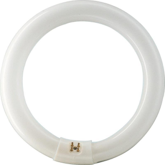 PHIL L-Lampe TL-E 22W-640 (-33) 55942515 