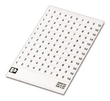 Phoenix       SK 5/3,8:FORTL.ZAHLEN 1-10 