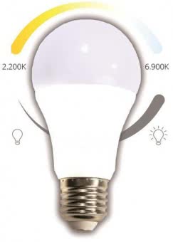 RP LED-Bulb TunableWhite  YMOCA-BULB-E27 