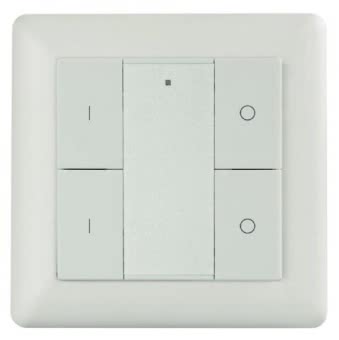 Rutec Funkwandtaster 2 Kanal       80571 