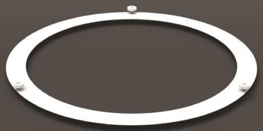 RZB Aufnahmering              982389.002 