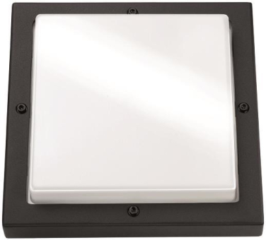 SGLI BASSO 3000 Graphit Sensor    633196 