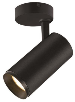 SLV NUMINOS SPOT DALI M, Indoor  1004484 