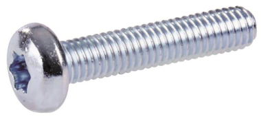 Striebel Flachkopf-Schrauben    ZX910P10 