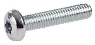 Striebel Flachkopf-Schrauben    ZX910P10 