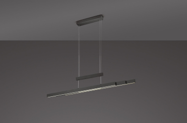 TRIO                           375310532 