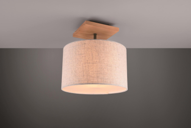 Trio Deckenleuchte ELMAU, 1x   602100130 