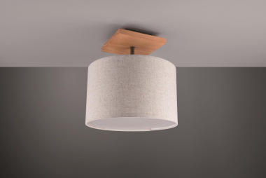 Trio Deckenleuchte ELMAU, 1x   602100130 