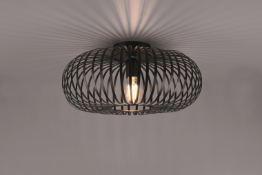 TRIO Deckenleuchte JOHANN      606900132 