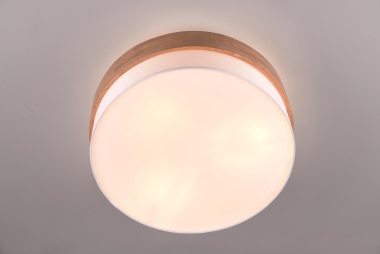 TRIO Deckenl. SEASONS 3x E27   611500301 