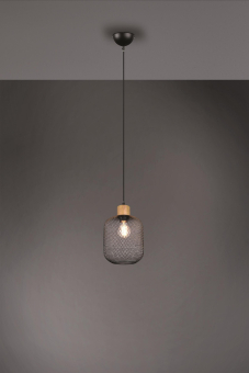 Trio Pendelleuchte CALIMERO,   R30561032 