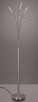 Trio LED-Stehleuchte REED, 5x  R41031507 