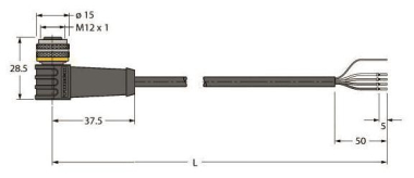 Turck Aktuator-u.          WKS4.4T-2/TXL 