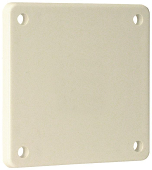 Walther Blindflansch             10015RW 