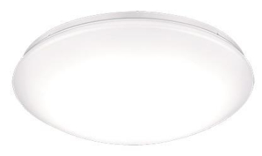 THORN Wand-/Deckenl. LENA VARIO 96631863 