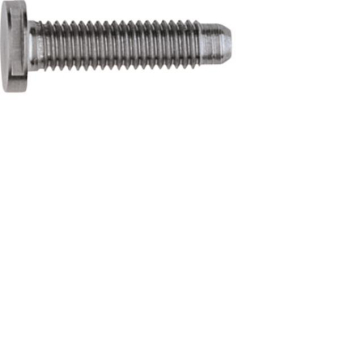 ELCOM Schraube Spezial ZY M5x25  REH125Y 